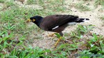 Thailand2013-1171.jpg