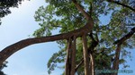 Thailand2013-1175.jpg