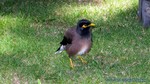 Thailand2013-1182.jpg