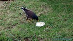 Thailand2013-1183.jpg