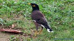 Thailand2013-1184.jpg