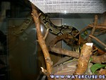 031204-13.jpg