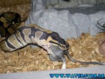 081004-10.jpg
