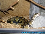 081004-15.jpg