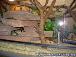 161004-8.jpg