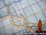211004-10.jpg