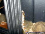 251204-3.jpg