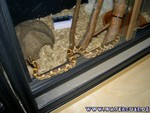 251204-4.jpg