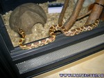 251204-5.jpg