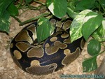 Baby-240106-01.jpg