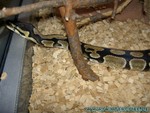 Baby-240106-06.jpg