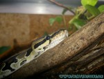 Baby-240106-09.jpg