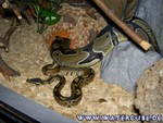 091204-3.jpg