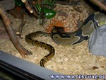 091204-4.jpg