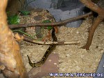 Futter101204-18.jpg