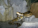 310305-4.jpg