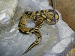 310305-7.jpg