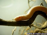 030305-10.jpg