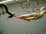 030305-13.jpg