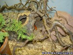 030305-15.jpg