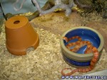 090205-03.jpg