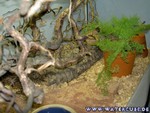 090205-04.jpg