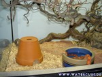 090205-06.jpg