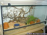 090205-18.jpg