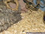 Umzug-140105-05.jpg