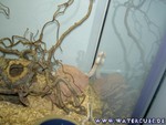 Umzug-140105-15.jpg