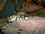 Beauty-240106-4.jpg