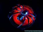 subspinne5.jpg