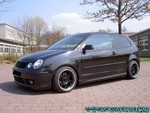 Polo-2006-1-01.jpg