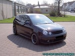 Polo-2006-1-03.jpg