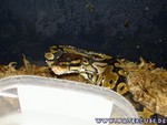 140705-2.jpg