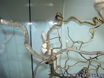 100905-4.jpg