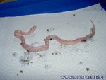 Nachwuchs-230705-02.jpg