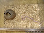 Nachwuchs-230705-05.jpg