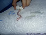 Nachwuchs-230705-08.jpg