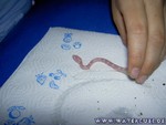 Nachwuchs-230705-09.jpg