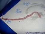 Nachwuchs-230705-10.jpg