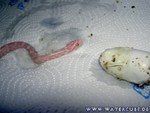 Nachwuchs-230705-11.jpg