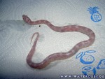 Nachwuchs-230705-13.jpg