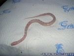Nachwuchs-230705-14.jpg