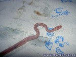 Nachwuchs-230705-17.jpg