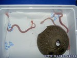 Nachwuchs-230705-18.jpg