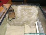 Terrabau-05.jpg