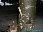 Malediven-023.jpg