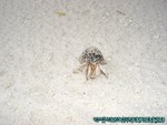 Malediven-028.jpg