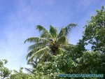 Malediven-066.jpg